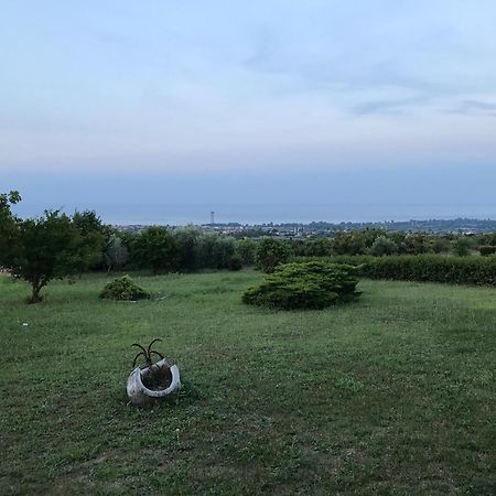Villa Amfitriti Λεπτοκαρυά Εξωτερικό φωτογραφία