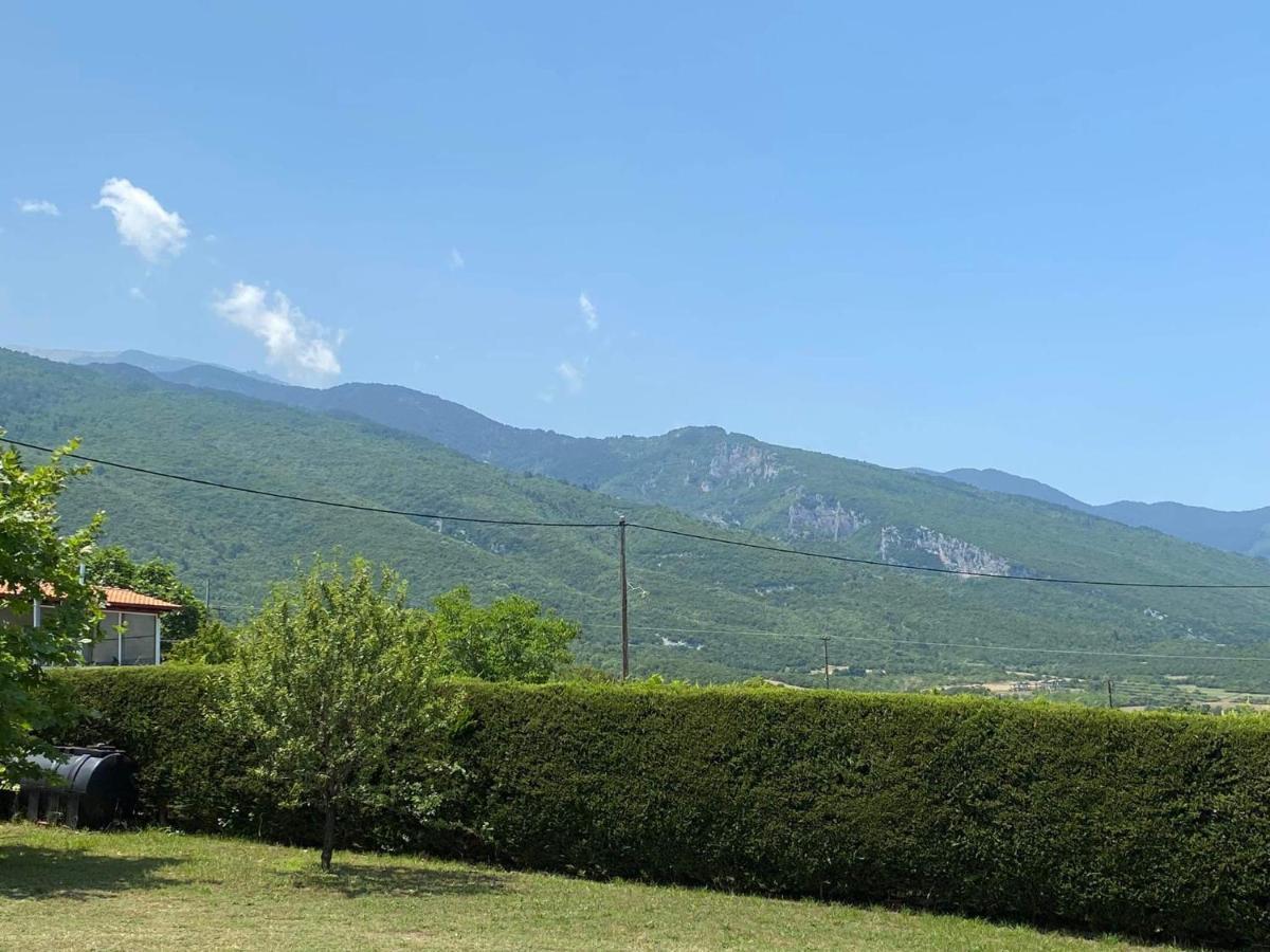 Villa Amfitriti Λεπτοκαρυά Εξωτερικό φωτογραφία