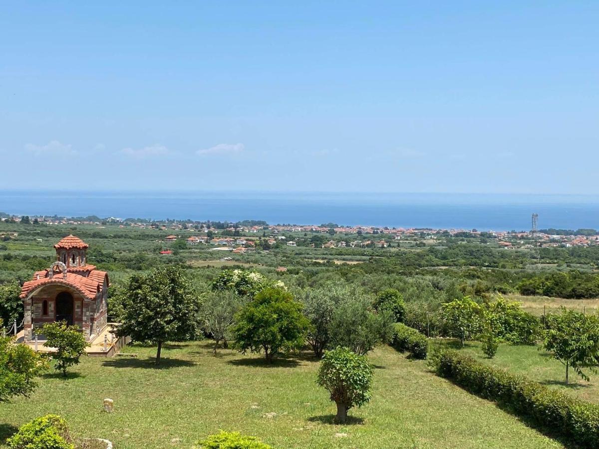Villa Amfitriti Λεπτοκαρυά Εξωτερικό φωτογραφία